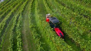 valtra-f-series-italy-vineyard-img-2019-hires-jpg-0939-768-432